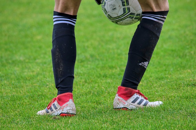 此次比赛不 此次比赛不